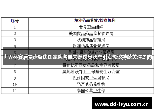 世界杯赛后复盘聚焦国家队名单关键球员状态引发热议持续关注走向