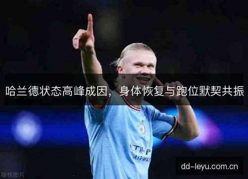 哈兰德状态高峰成因，身体恢复与跑位默契共振
